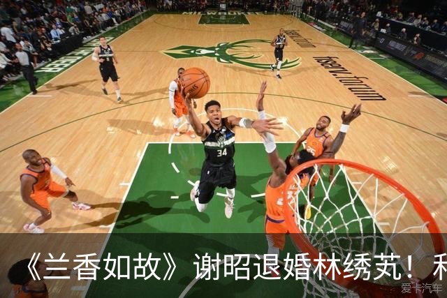 《兰香如故》谢昭退婚林绣芄！和离后才清醒，才懂他为何吃回头草